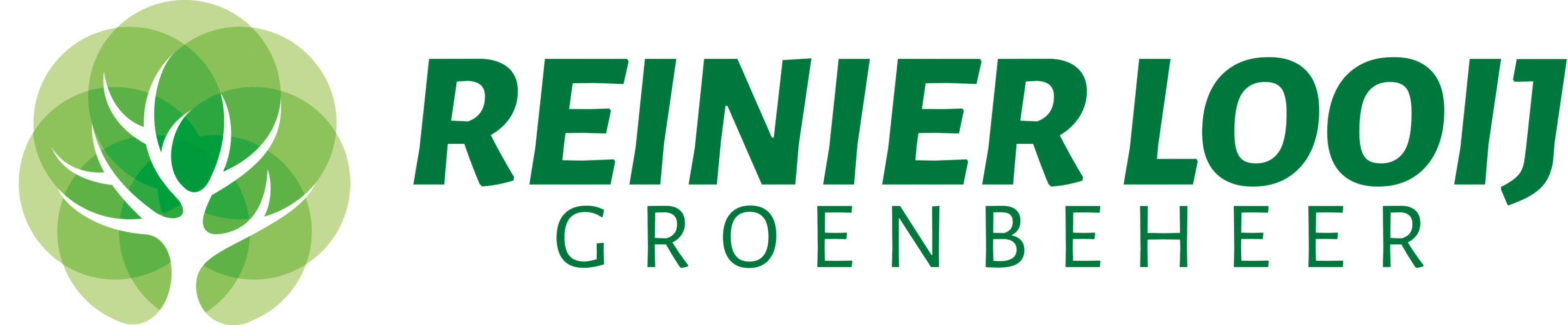 Reinier Looij BV Logo