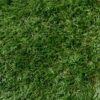 Kunstgras Grass Art Greenyard 4mtr. breed poolhoogte 40mm afbeelding  bij Reinier Looij