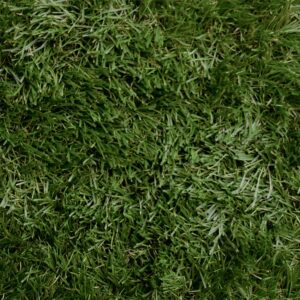 Kunstgras Grass Art Naturel deluxe 4mtr. breed poolhoogte 45mm afbeelding  bij Reinier Looij