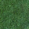 Kunstgras Grass Art Excellent 4mtr. breed poolhoogte 55mm afbeelding  bij Reinier Looij