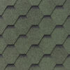 Dakshingles hexagonaal ultra groen