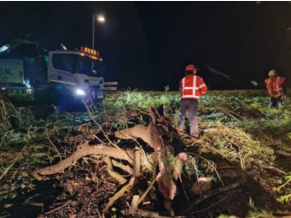 stormschade gladheidsbestrijding