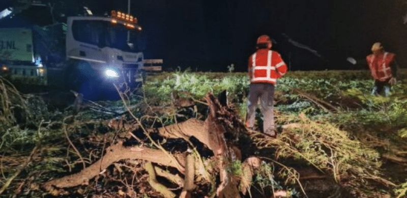 stormschade goeree overflakkee