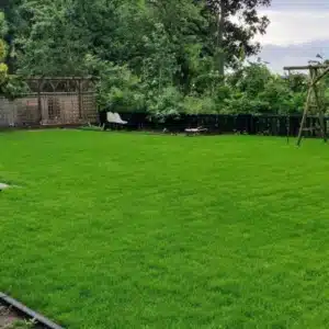 Gras