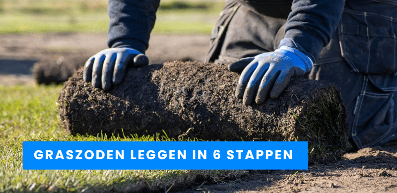 nieuwe graszoden leggen stappenplan